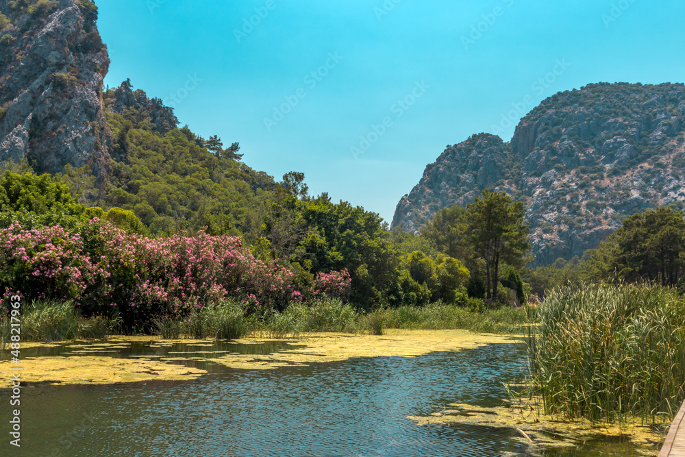 Olympos City, Beautiful view of the river flowing through the Olympos mountains, Cirali, Kemer, Antalya Olympos City, Beautiful view of the river flowing through the Olympos mountains, Cirali, Kemer, Antalya