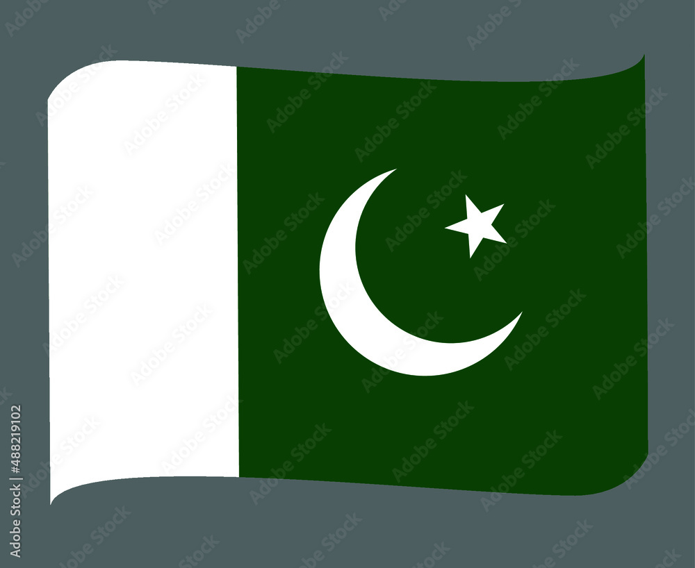 Pakistan Flag National Asia Emblem Ribbon Icon Vector Illustration Abstract Design Element Pakistan Flag National Asia Emblem Ribbon Icon Vector Illustration Abstract Design Element