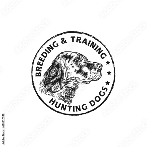  English setter