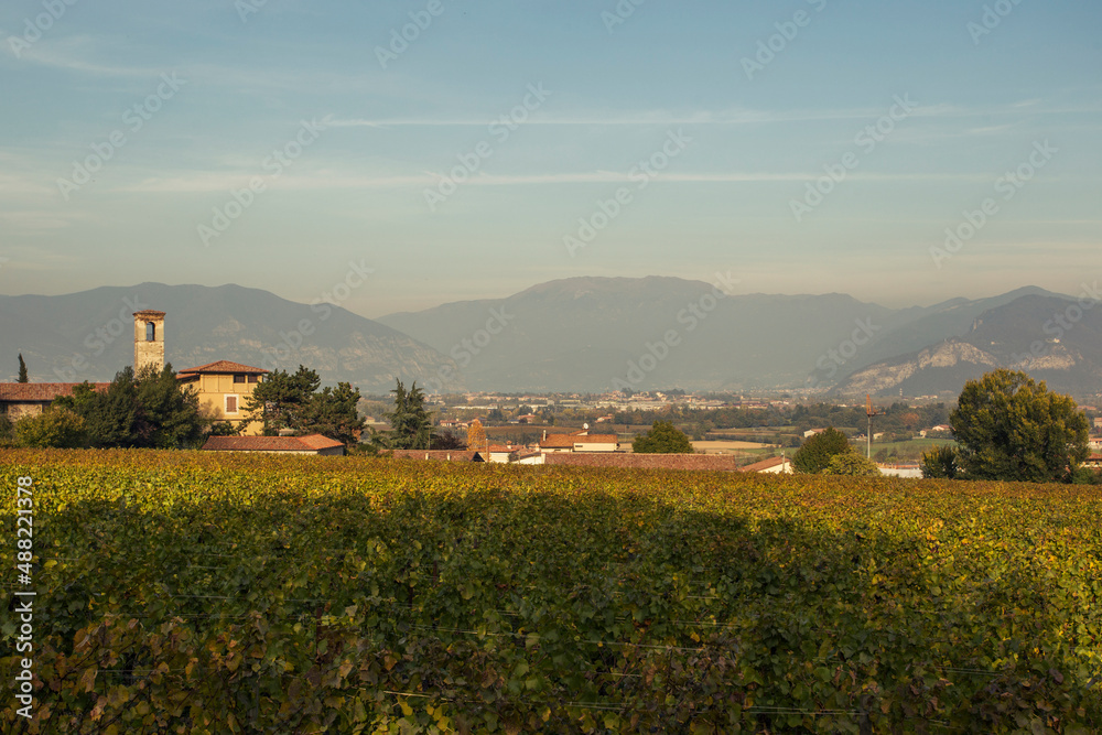 view of the village in the vineyards with a background of hills 