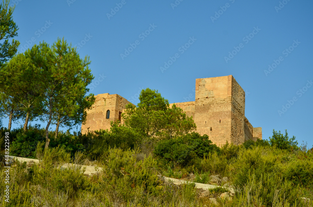 The castillo de forna on a big rock surrounded by green trees and bushes under blue sky