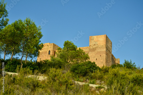 The castillo de forna on a big rock surrounded by green trees and bushes under blue sky © Luca Schmidt