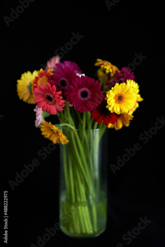 8 march or International women's day concept. Beautiful bouquet of yellow red and pink flowers in glass vase isolated on black background. Florist or botanical theme. High quality image © boytsov