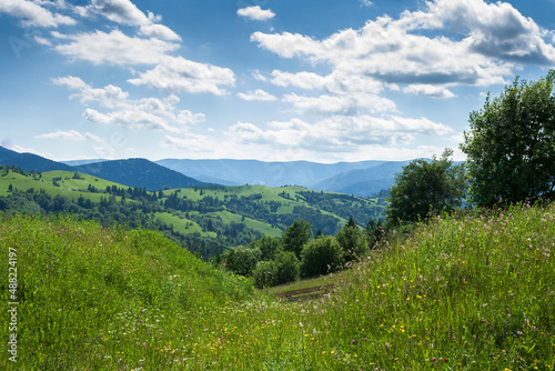 mountainous rural landscape in summer. countryside scenery with grassy fields and forested hills. beautiful view of green alpine meadows on a sunny day