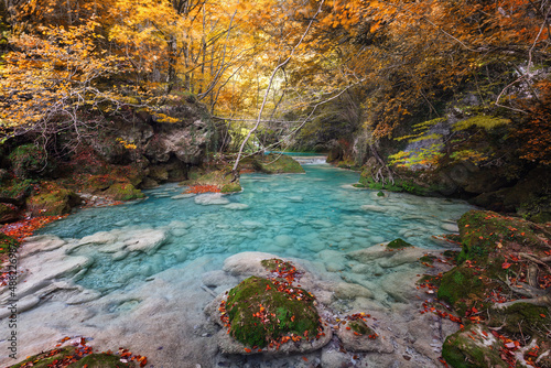 Forest in autumn at the source of the Urederra river, Urbasa natural park, Spain photo