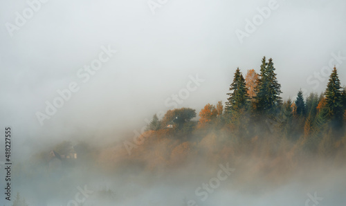 Carpathian forest in the fog. Dzembronya. Carpathians .Ukraine