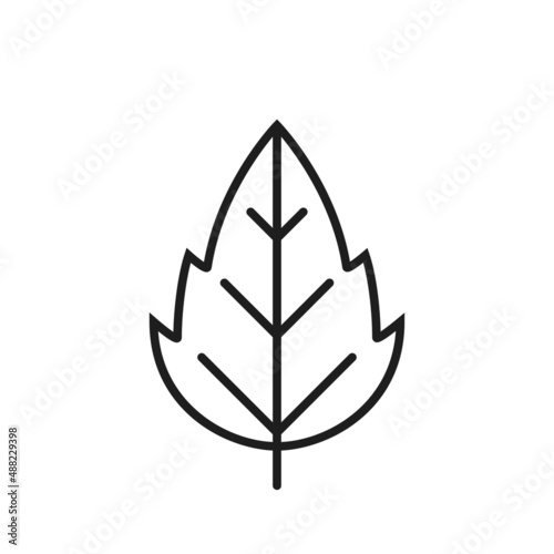 seratted leaf line icon. eco, botanical and nature symbol. isolated vector image photo