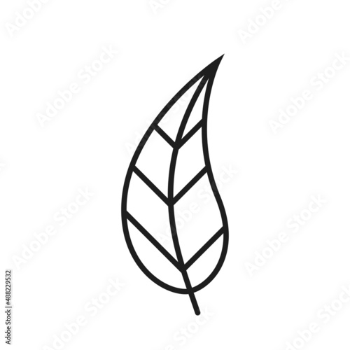curved leaf line icon. eco, botanical and nature symbol. isolated vector image