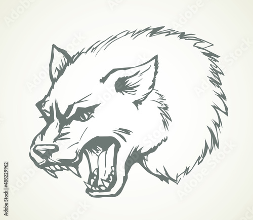 Open mouth. Grin. Vector drawing wolf