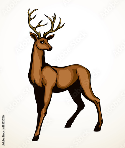 Beautiful noble deer. Vector drawing