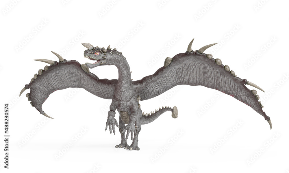 Fototapeta premium stone dragon is standing up