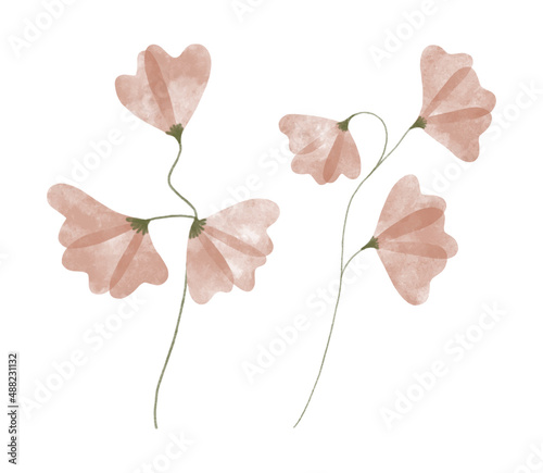 Variety of watercolor trendy flowers. Vector illustration for web, app and print. Elegant feminine shapes floristic isolated sweet peas  flowers. Garden, botanical, minimalistic floral set.