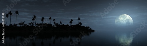 Fotografie, Obraz Beach with palm trees at night under the moon