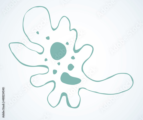 Amoeba. Vector drawing sign icon