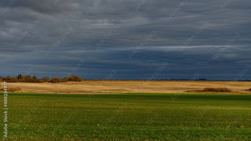 Green and yellow field under thunderstorm sky