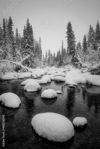 Snow buns. Snowy landscape of North Europe. Early spring thaw melted ice and opened forest rivers.