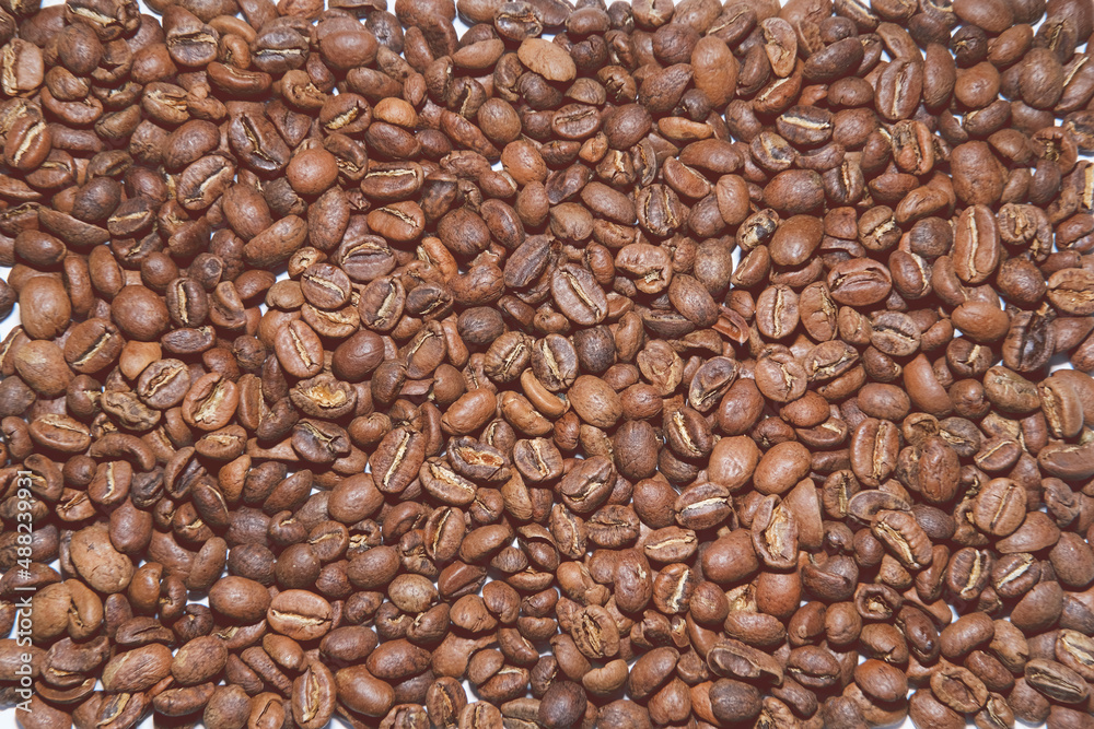 Obraz premium Light roasted coffee beans in soft light as background