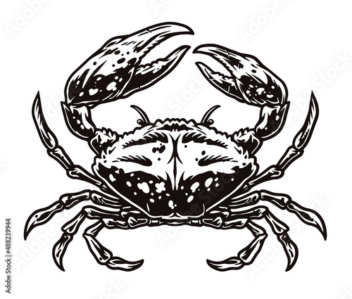 Monochrome vintage crab isolated on a white background vector