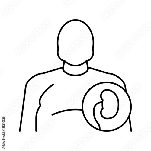 fat human kidneys line icon vector illustration