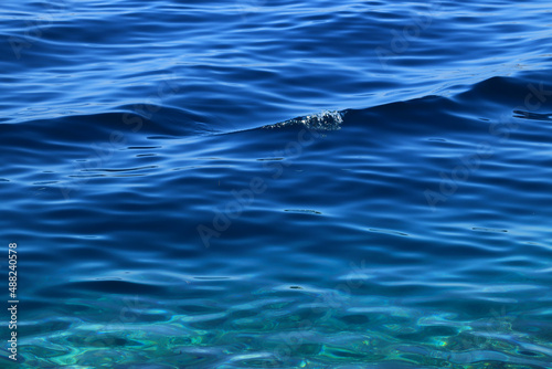 Blue Adriatic sea backround , Croatia
