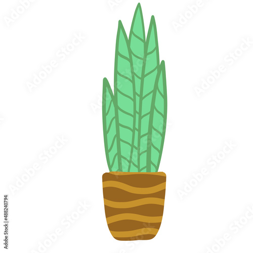 Potted plant. Homemade Green leaves of houseplant. Gardening and botany. Brown pot and House decoration. Flat illustration