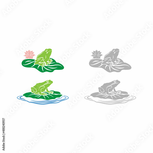 frog. Green cute frog, egg mass, tadpole and frog. Aquatic plant, water lily leaf, toad wild nature vector life set.