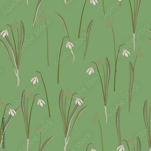 Seamless floral pattern with snowdrop flowers. White spring wildflowers on green background. Galantus novalis. photo