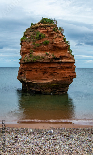 Jurassic coastline