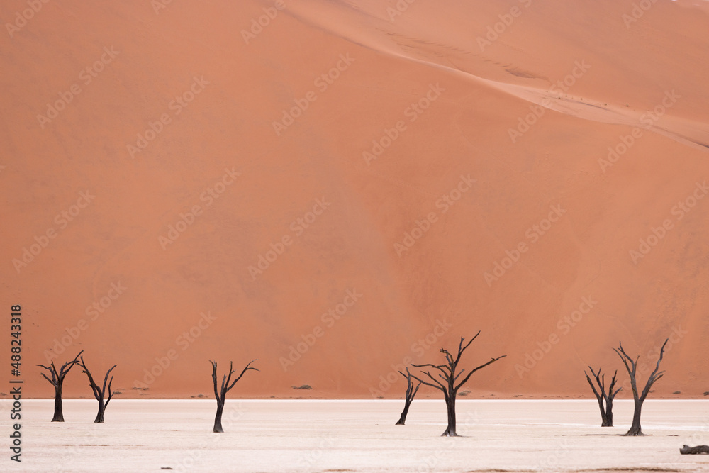 Minimal Desert landscape with sand dunes and dead trees