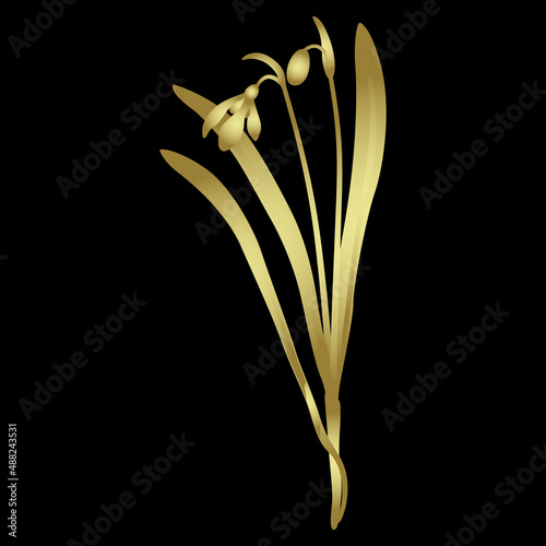 Single blooming branch of snowdrop flower. Galanthus woronowii. Golden glossy silhouette on black background. photo