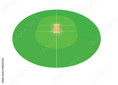 Cricket field isolated. vector illustration