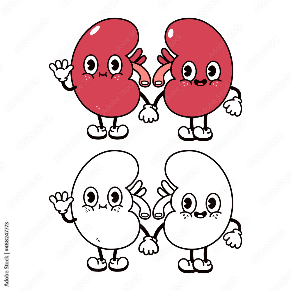 Cute funny kidneys character. Vector hand drawn traditional cartoon vintage, retro, kawaii character icon. Kidneys emoji,child,adorable,kids concept. Outline cartoon illustration for coloring book