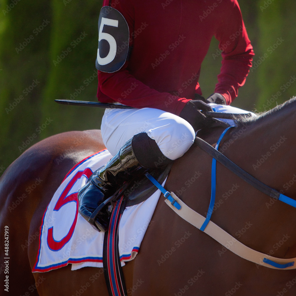 Hands and uniform of a jockey. Race horse in racing competition. Jockey