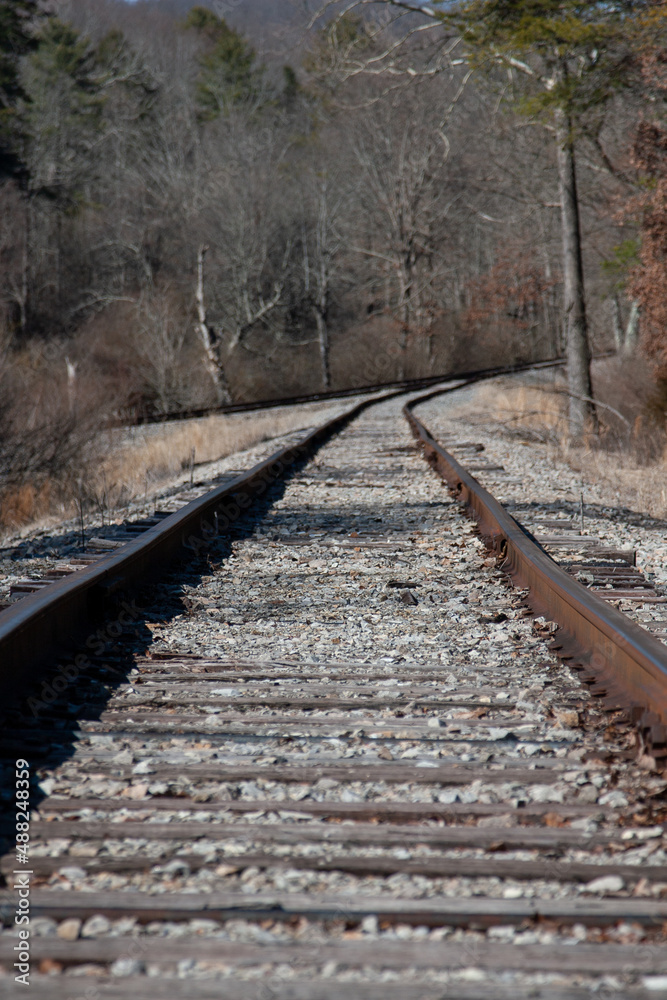 Fototapeta premium railroad tracks in the forest