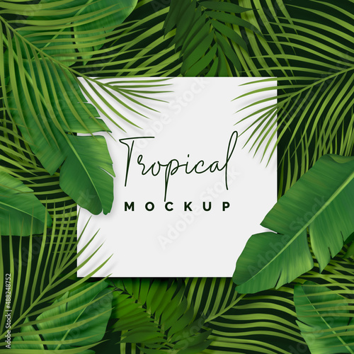 Tropical foliage background © Daniel