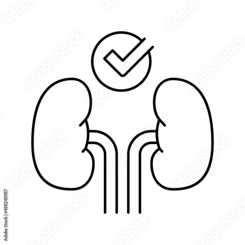 healthy kidneys line icon vector illustration