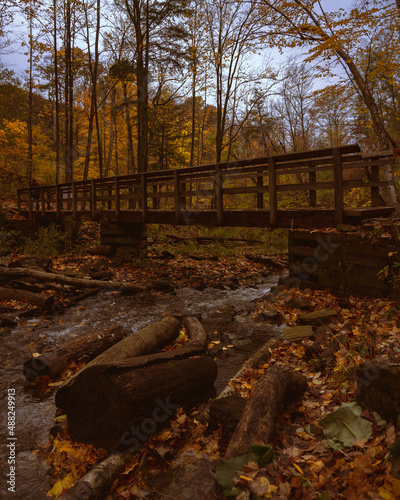 Fall bridge 