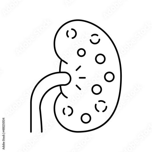 nephritis kidney line icon vector illustration