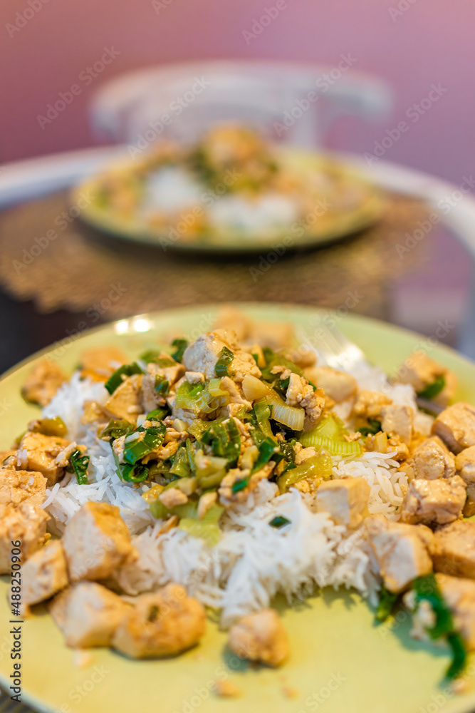 Fried tofu green onion chopped negi vegetable macro closeup showing texture on two plates in cafe restaurant or homemade food with nobody pov at seat eating Fried tofu green onion chopped negi vegetable macro closeup showing texture on two plates in cafe restaurant or homemade food with nobody pov at seat eating