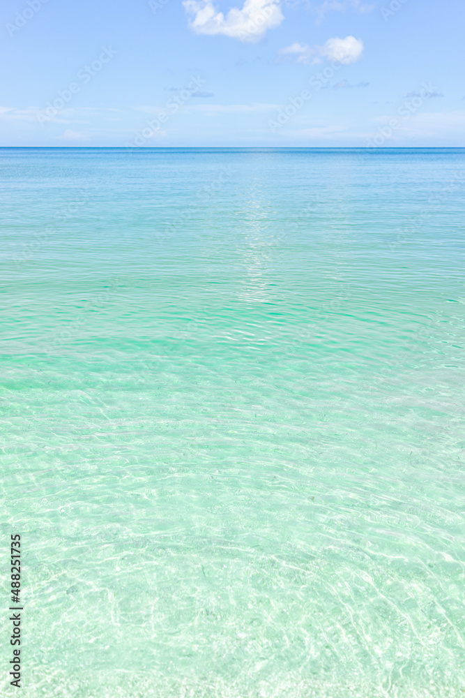 Naples beach in Southwest Florida with turquoise glass green idyllic water on sunny day with blue sky coast horizon in paradise, nobody in vertical view landscape