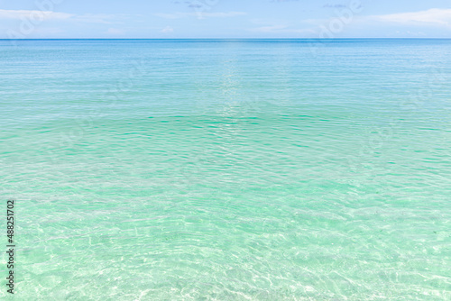 Fototapeta Naklejka Na Ścianę i Meble -  Beach in Naples in Southwest Florida with turquoise glass green idyllic water on summer day with blue sky coast horizon in paradise, nobody in landscape