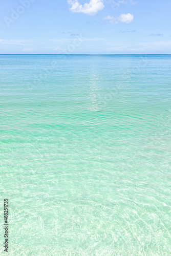 Fototapeta Naklejka Na Ścianę i Meble -  Naples beach in Southwest Florida with turquoise glass green idyllic water on sunny day with blue sky coast horizon in paradise, nobody in vertical view landscape