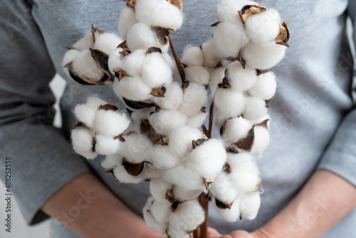 Closeup anonymous female demonstrating bunch of fragrant white cotton