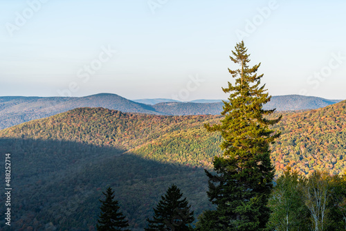 High angle aerial view on West Virginia mountains overlook with fall autumn foliage, one pine tree in morning sunrise or sunset sunlight at Highland Scenic Highway photo
