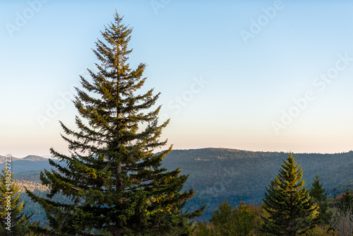 High angle aerial view on West Virginia mountains overlook with fall autumn foliage with one pine tree in morning sunrise sunlight at Highland Scenic Highway wilderness photo