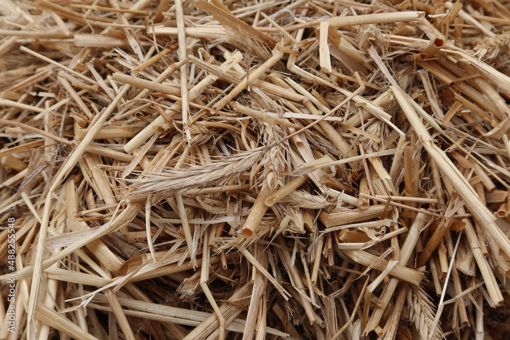 Hay background. Rural concept Hay background. Rural concept