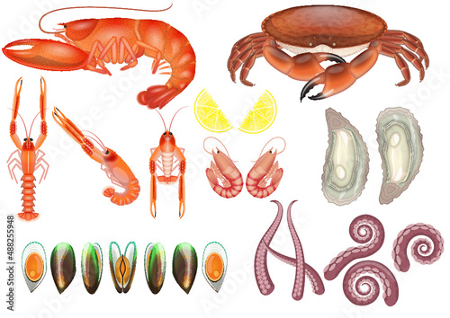 Seafood selection