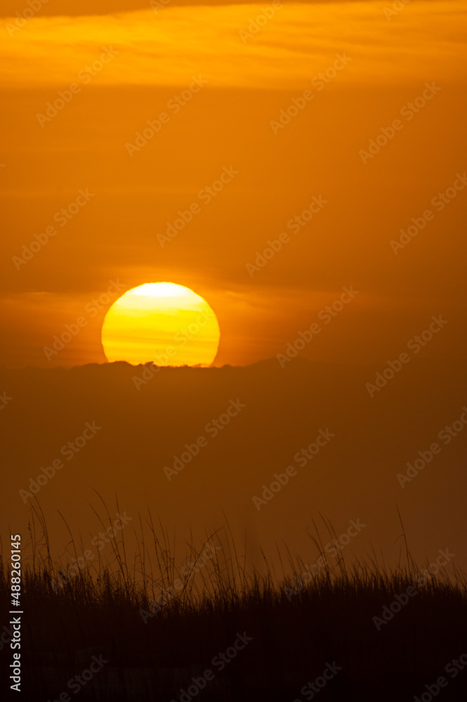 Seaside Sunrise over Clouds and Grass Silhouette Portrait Format Seaside Sunrise over Clouds and Grass Silhouette Portrait Format