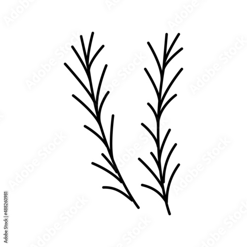 rosemary spice aromatherapy line icon vector isolated illustration