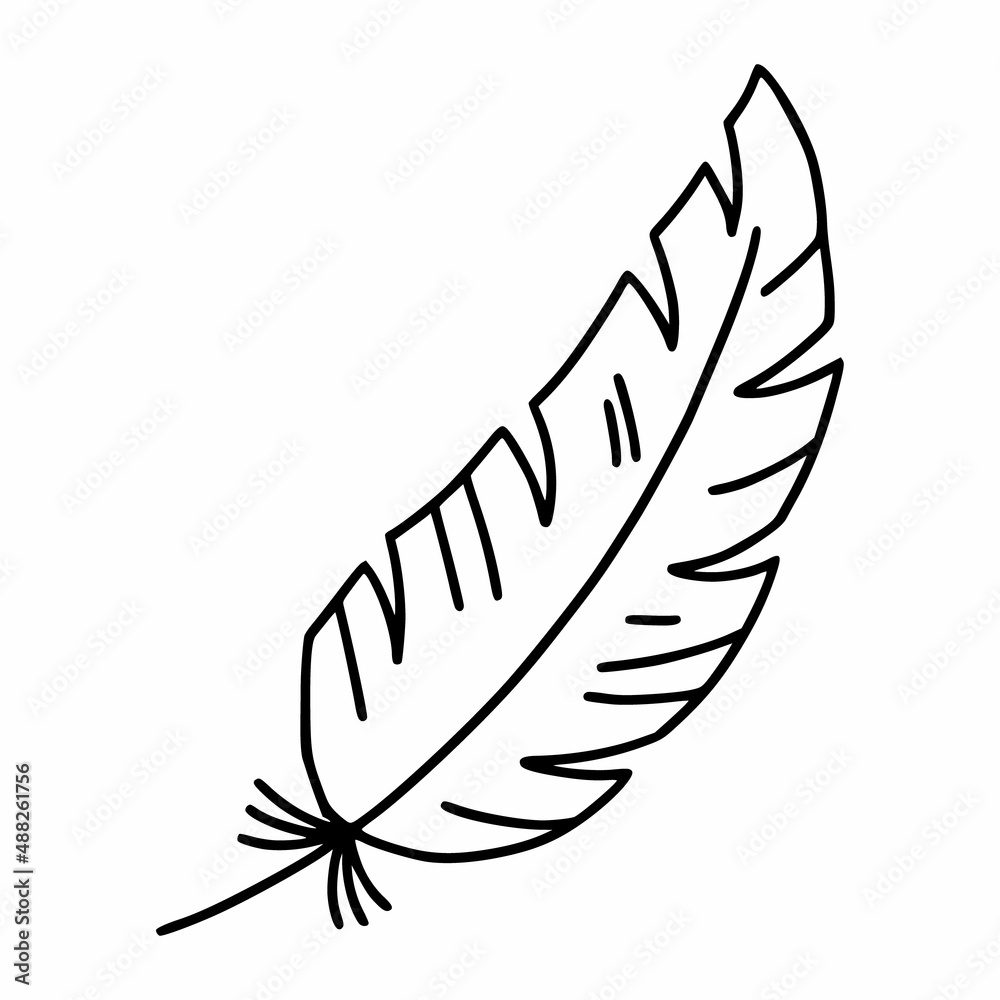 Bird feather. Vector doodle illustration. Contour icon. Сalligraphic symbol.